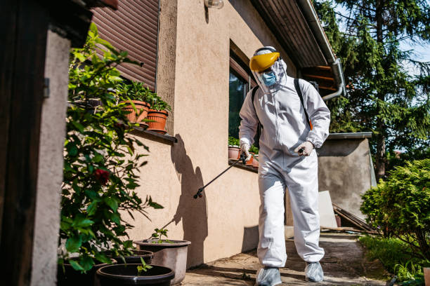 Best Best Pest Control Companies  in Valley View, OH