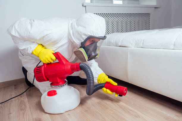 Best Best Pest Control Companies  in Valley View, OH